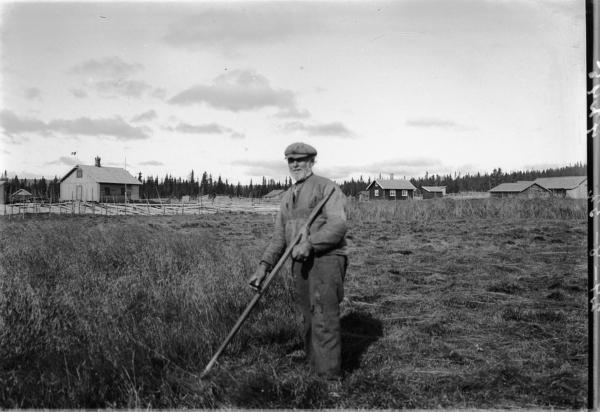 Simen Baardseth, LJÅSLÅTT PÅ Gammelskolla i Ringsaker. Mathias Bogstisveen bruker ljå. Bjørklund, Skar og Bogstisetra. Turisthytte til venstre. Slåttonn, slåttekar.