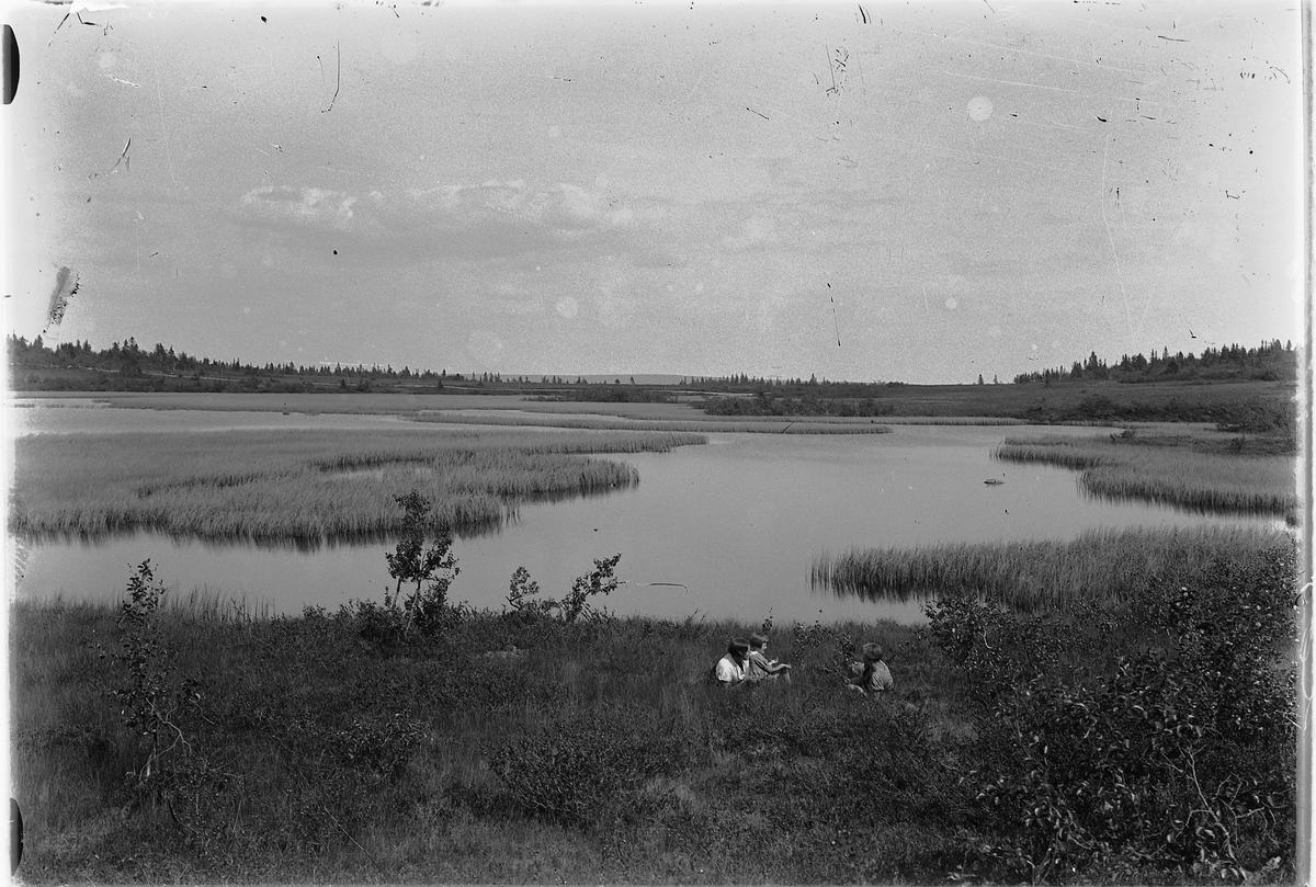Simen Baardseth, Kjerringtjernet, Ljøsheim i Ringsaker.