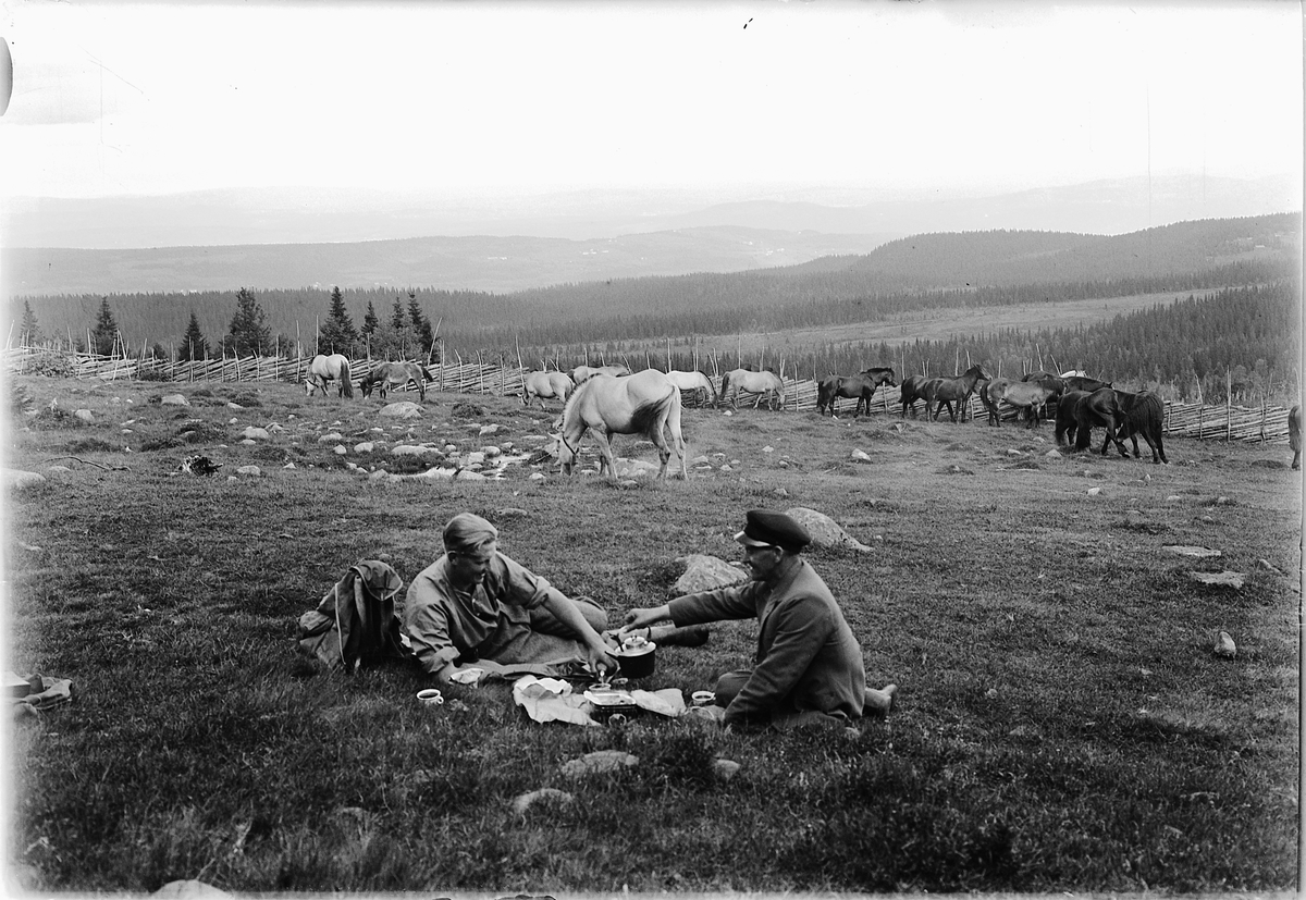 Simen Baardseth, Biri, setervang. Kristen Jensstuen og Halvdan Stenersen drikker kaffe, med hester på beite i bakgrunnen.
