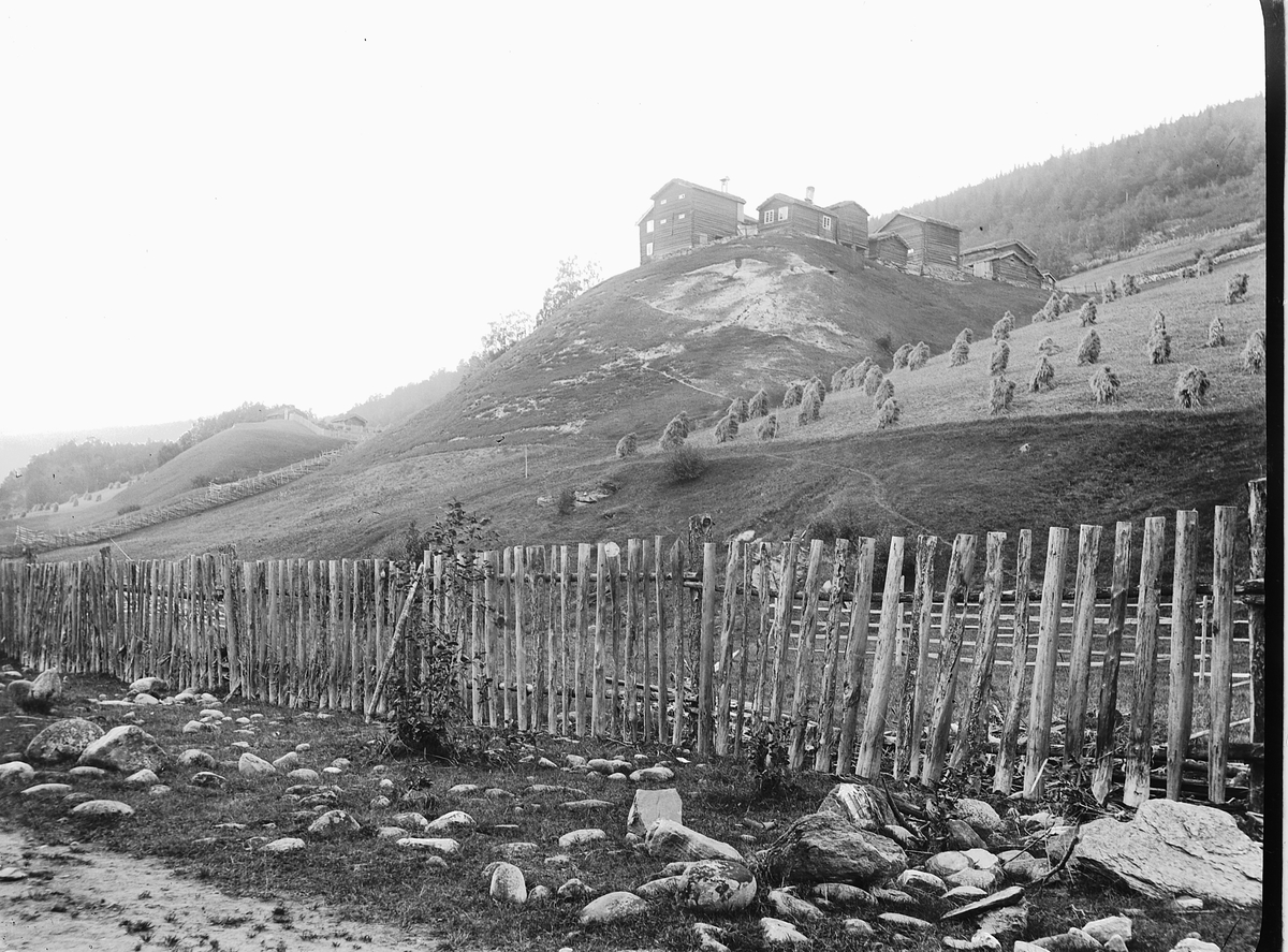 Simen Baardseth, Steinfinnsbø gård, Heidal, Sel kommune. Gjerde, landskap, kornsneis,