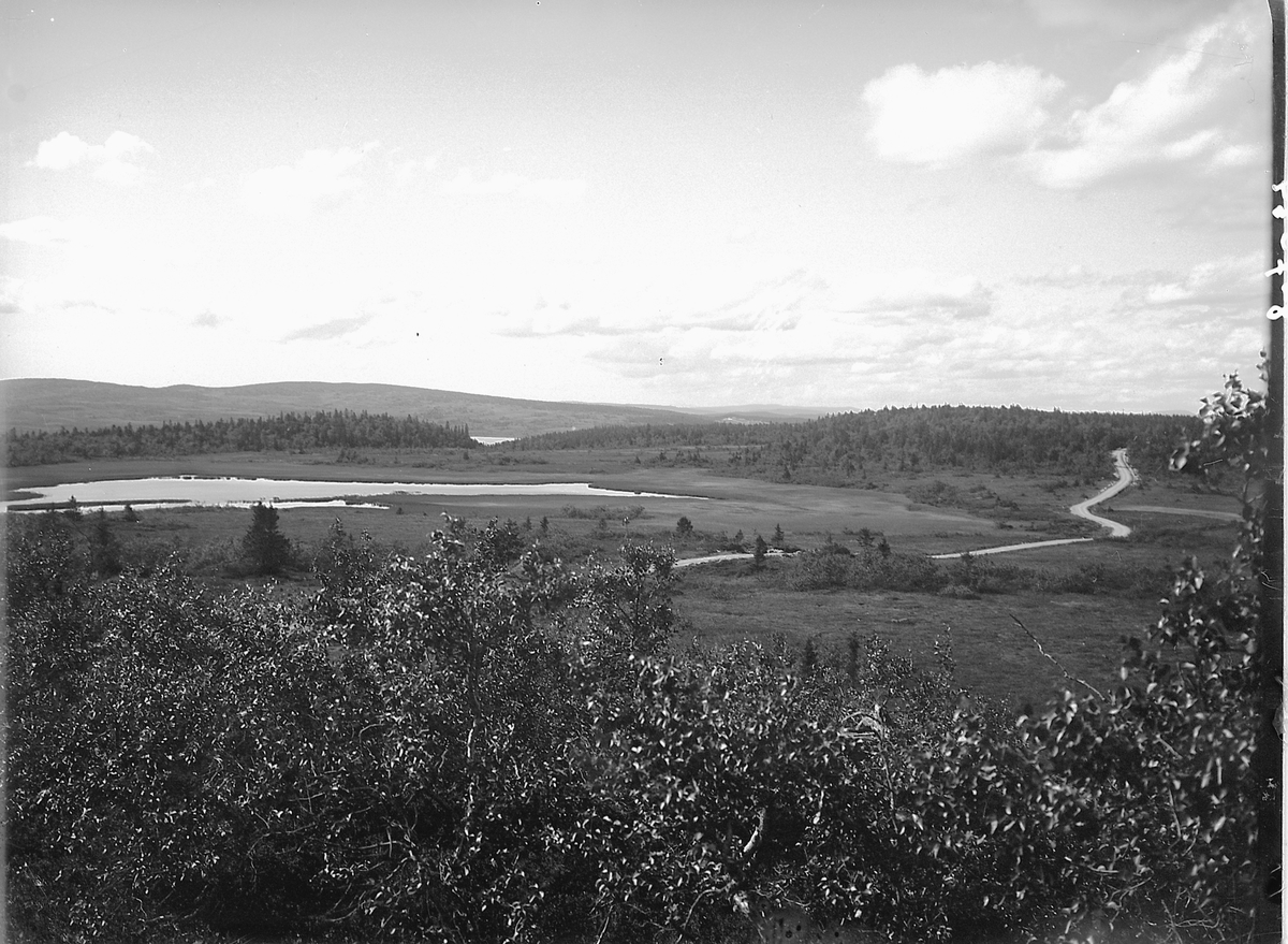 Simen Baardseth, Kjerringtjernet, bak Grunna, Ljøsheim, Ringsaker.