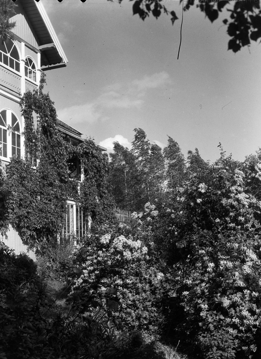 Kristian Heramb, Hus og hage. Billerud på Veldre i Ringsaker.