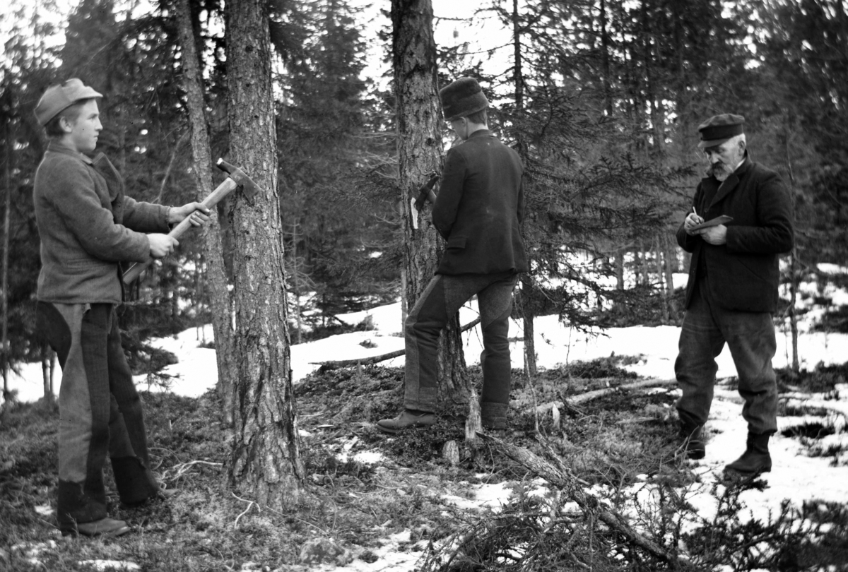 Ole Hansen Løken, SKOGBRUK, TRE UKJENTE MENN BLINKER TØMMER. SE OGSÅ HHB-2163.