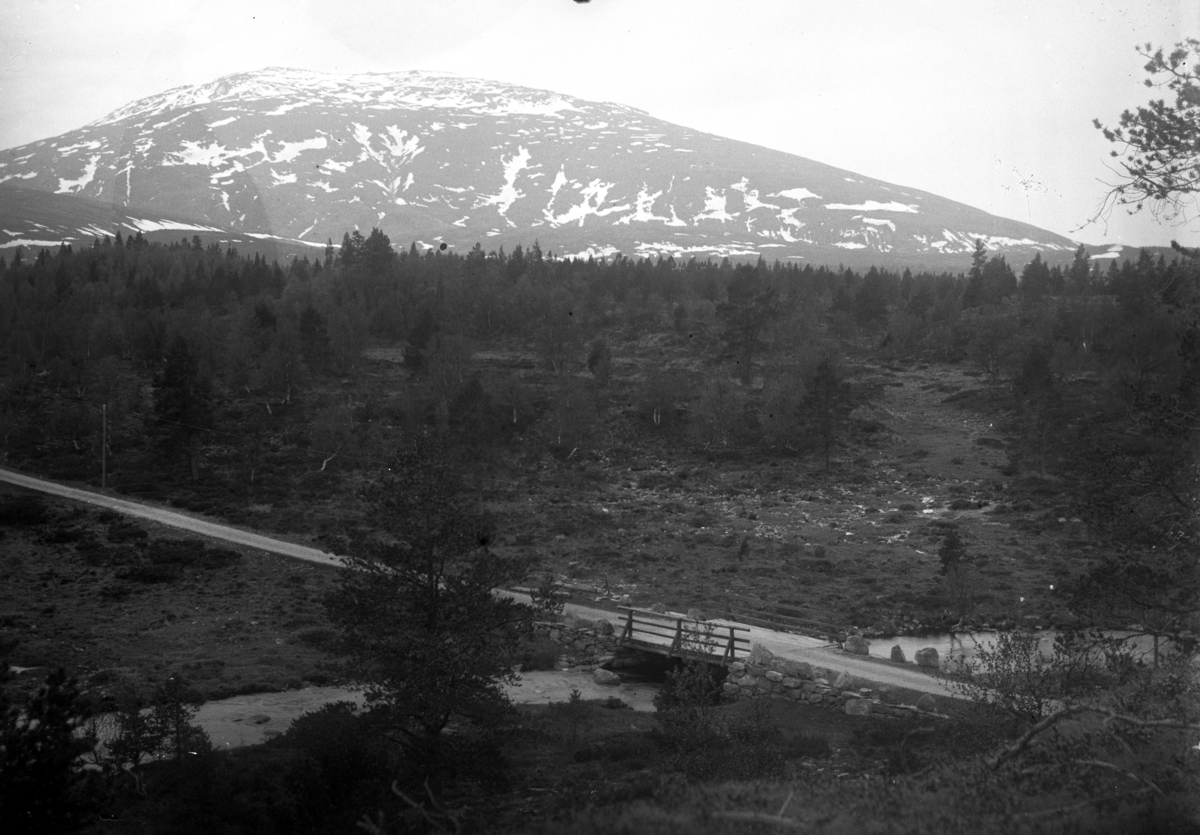 Johannes Larsen Alhaug, Fjellandskap, Tynset. Ei bru over Auma. Tronfjellet i bakgrunnen.