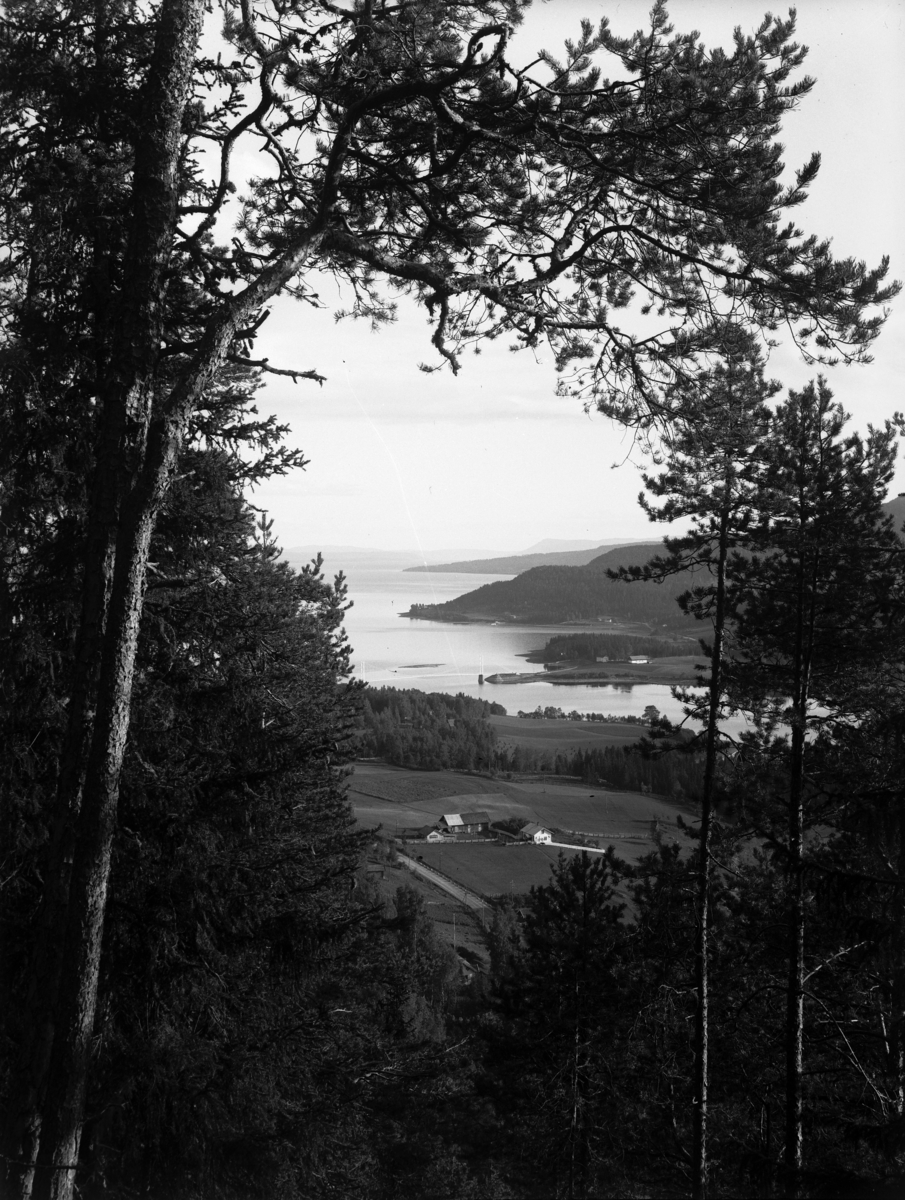 Kristian Heramb, VELDRE, FANGBERGET i Brumunddal, UTSIKT, FURNESFJORDEN, FRAMNESBRUA.