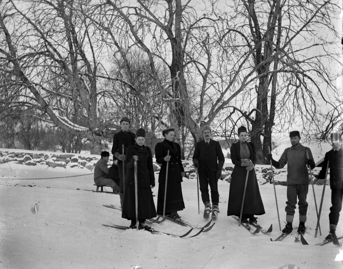 Martin Finborud, Gruppe 7, Skigåere, ski, kjelke, Grefsheim, Nes, Hedmark. Lil og Lol med ektefeller?