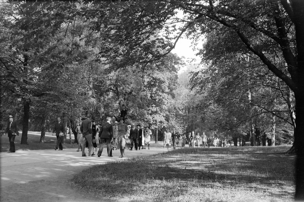Håkon Prestkværn, Mennesker som går gjennom en park. Slottsparken i Oslo?
