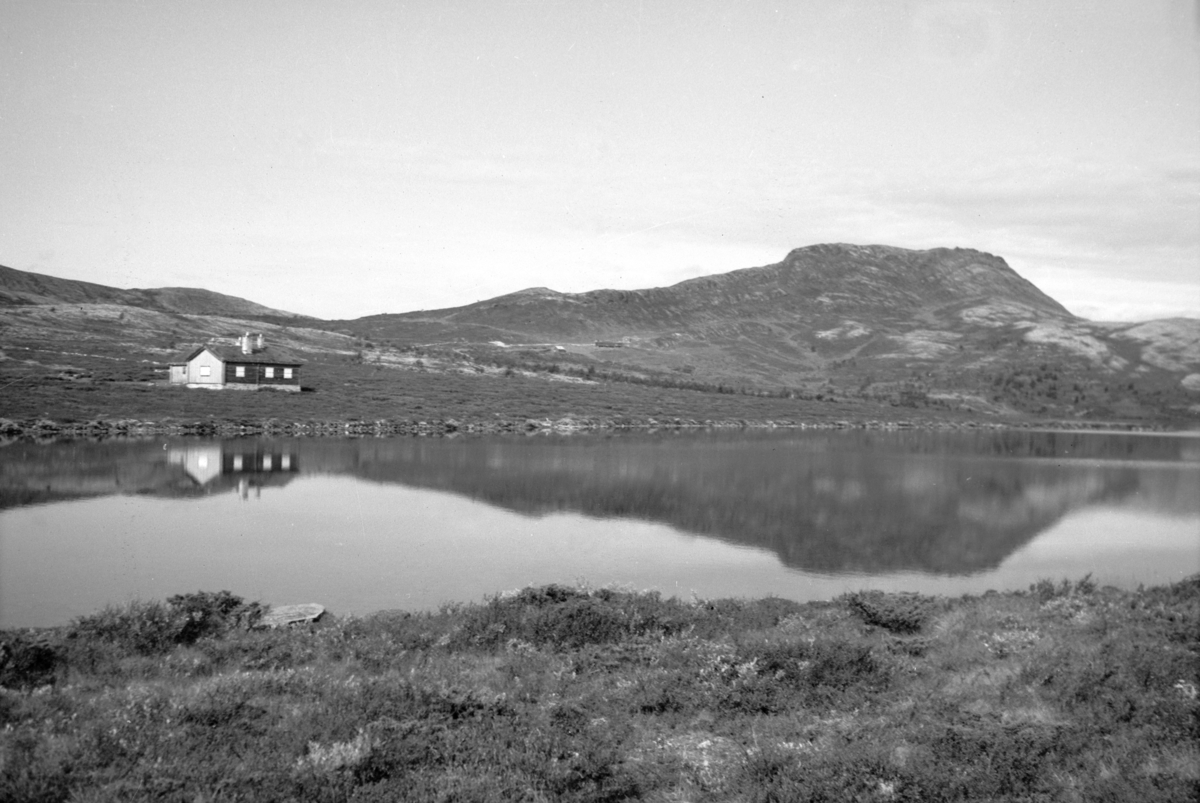 Håkon Prestkværn, Venabygd, Flåksjøen, fjelllandskap