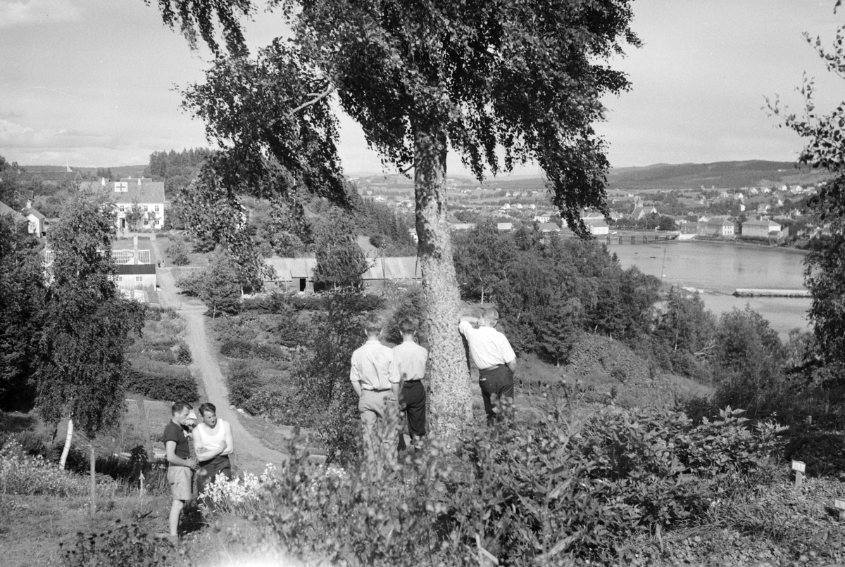 Håkon Prestkværn, Staup Hagebruksskole ved Levanger.