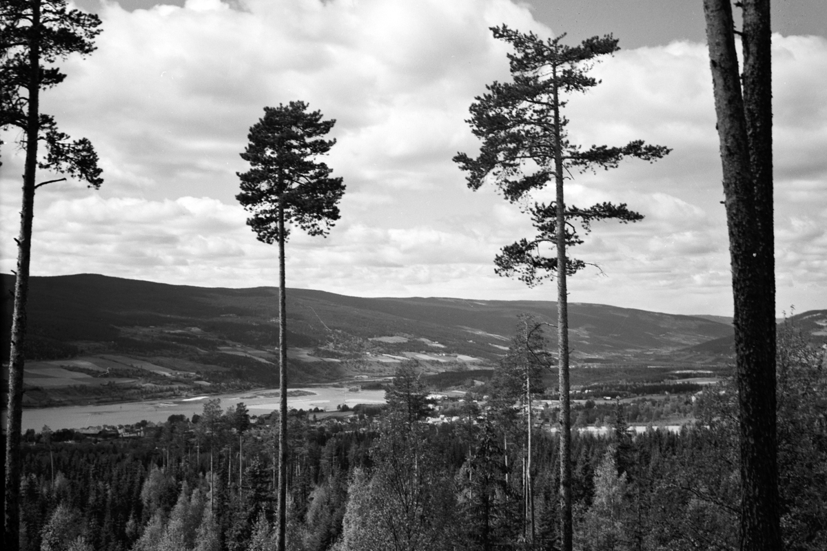 Håkon Prestkværn, Landskap, utsikt, dalstrøk. ukjent sted.