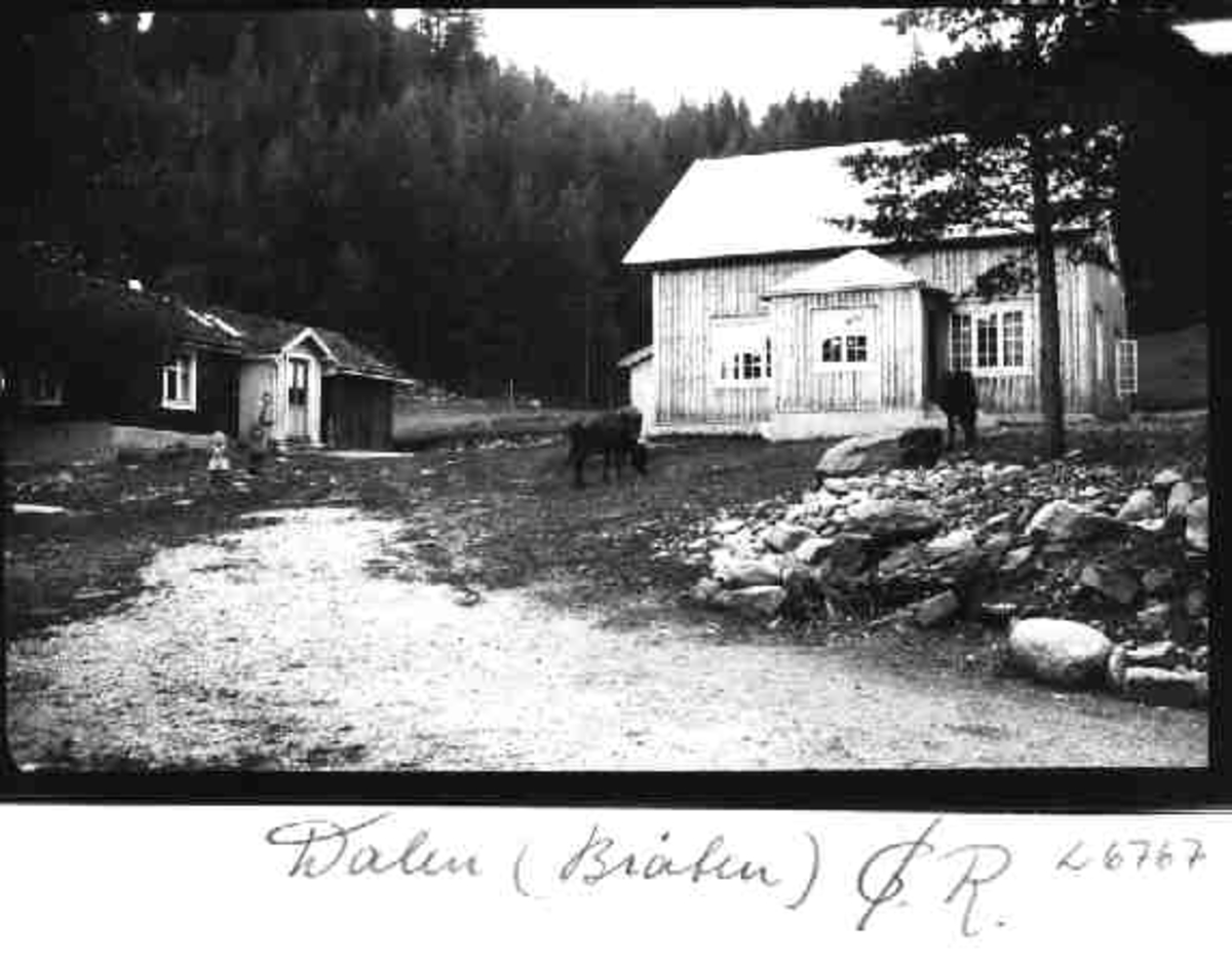 Per K. Lien, Dalen, ( Bråten ), Øvre Rendal, Rendalen