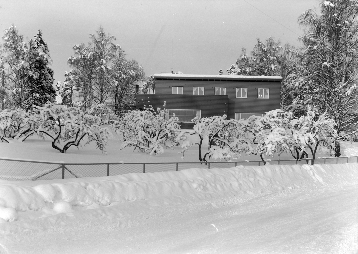 Normann Fotoatelier, Dr. Mæhlum, Furnesveien 18, Hamar. Eksteriør av bolighus. Vinter. Huset er tegnet av arkitekt Rolf Prag.