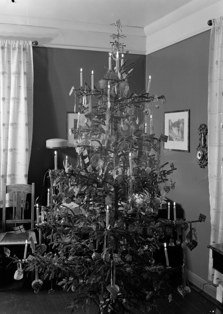 Normann Fotoatelier, Lærer Nyseth. Pyntet juletre.