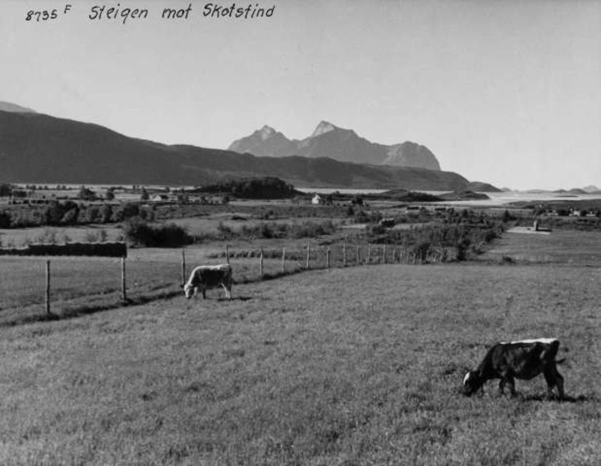 Anders Beer Wilse, -5560