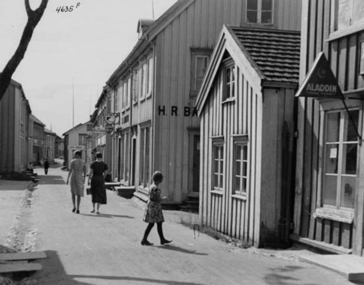 Anders Beer Wilse, -5595