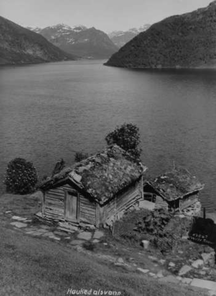 Anders Beer Wilse, -5622