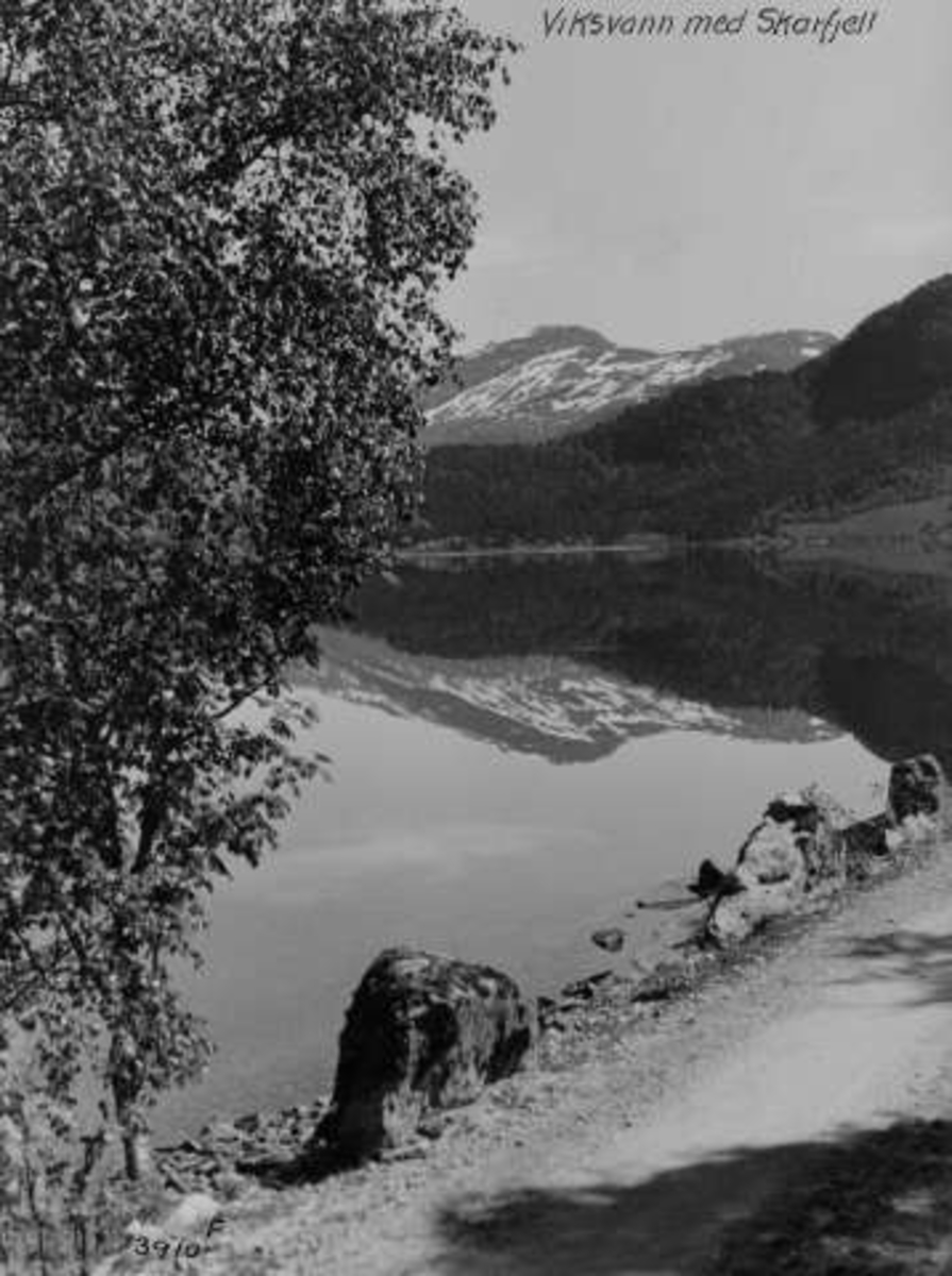 Anders Beer Wilse, -5645