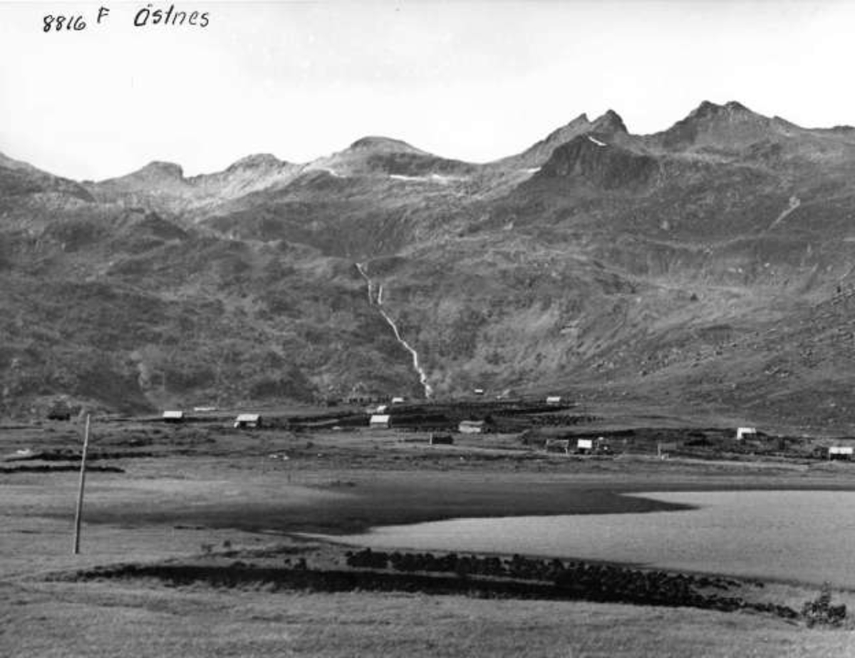 Anders Beer Wilse, -5894