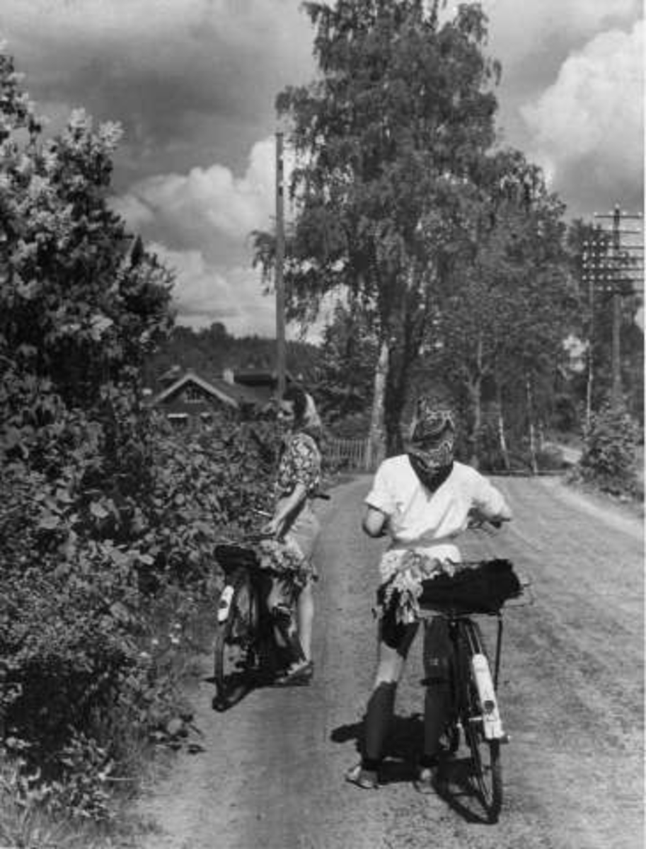Anders Beer Wilse, -6243