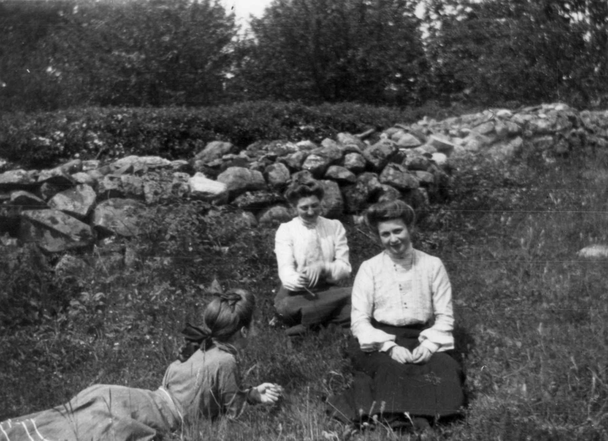 Fredrik Emil Faye, Gruppeportrett, Løkenes, Asker. Kvinner ved steingjerde. Ant. juni 1904. Fra serie antatt fotografert av kammerherre Fredrik Emil Faye (1844-1903), Dal gård, Ullensaker.