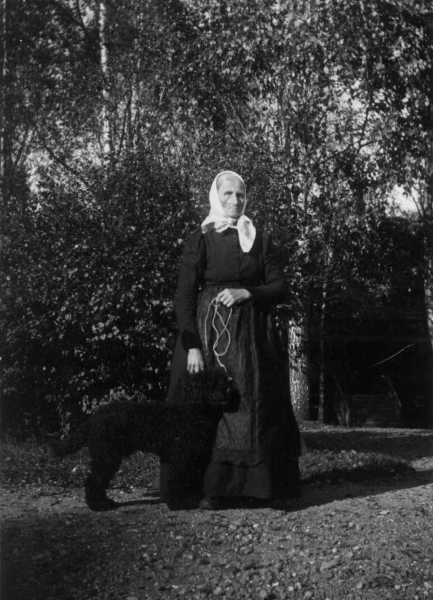 Fredrik Emil Faye, Havekone, Dal gård, Ullensaker, ca. 1890. Fra portrettserie av personer som bodde på eller besøkte Dal gård, Ullensaker, fotografert av gårdens eier, kammerherre Fredrik Emil Faye (1844-1903) i årene 1875-1900.