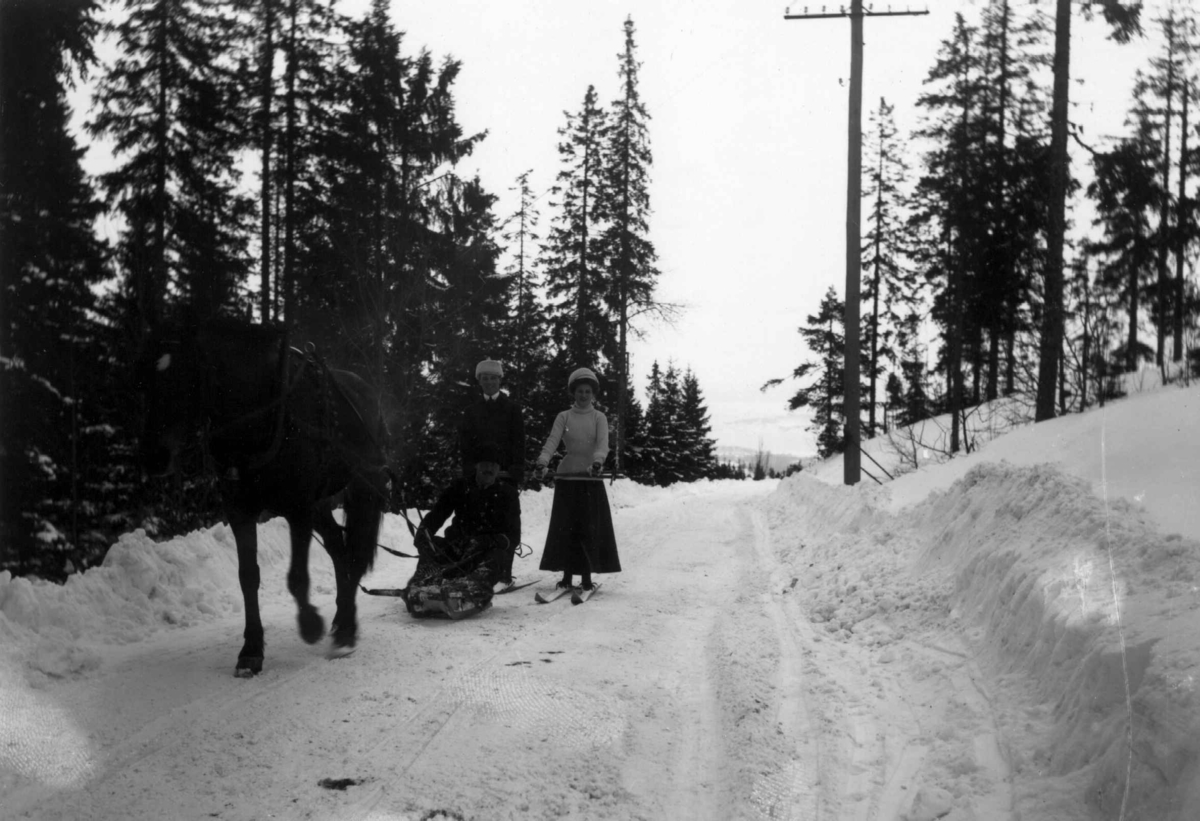 Hermann Christian Neupert, Oslo. 1908-1910. Vintermotiv. Skog. Brøytet vei. To skiløpere og en mann på kjelke trukket av hest.
