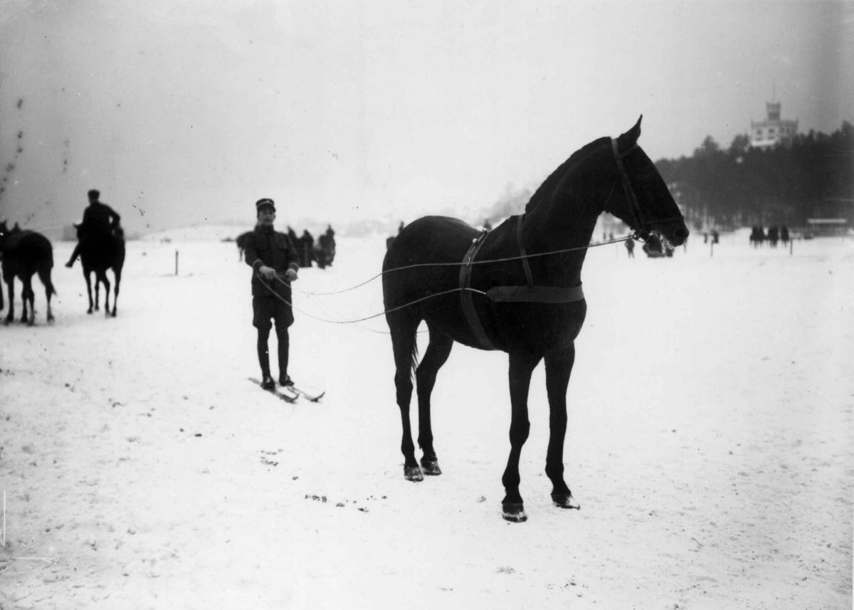 Hermann Christian Neupert, Frognerkilen, Oslo. 1909. Vintermotiv. Snørekjøring på ski med hest. Løytnant Taasen med hesten Matahami.