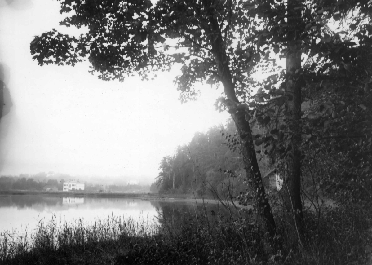 Hermann Christian Neupert, Bestumkilen, Oslo, okt. 1908. Stemningsbilde med stille vann og skog.