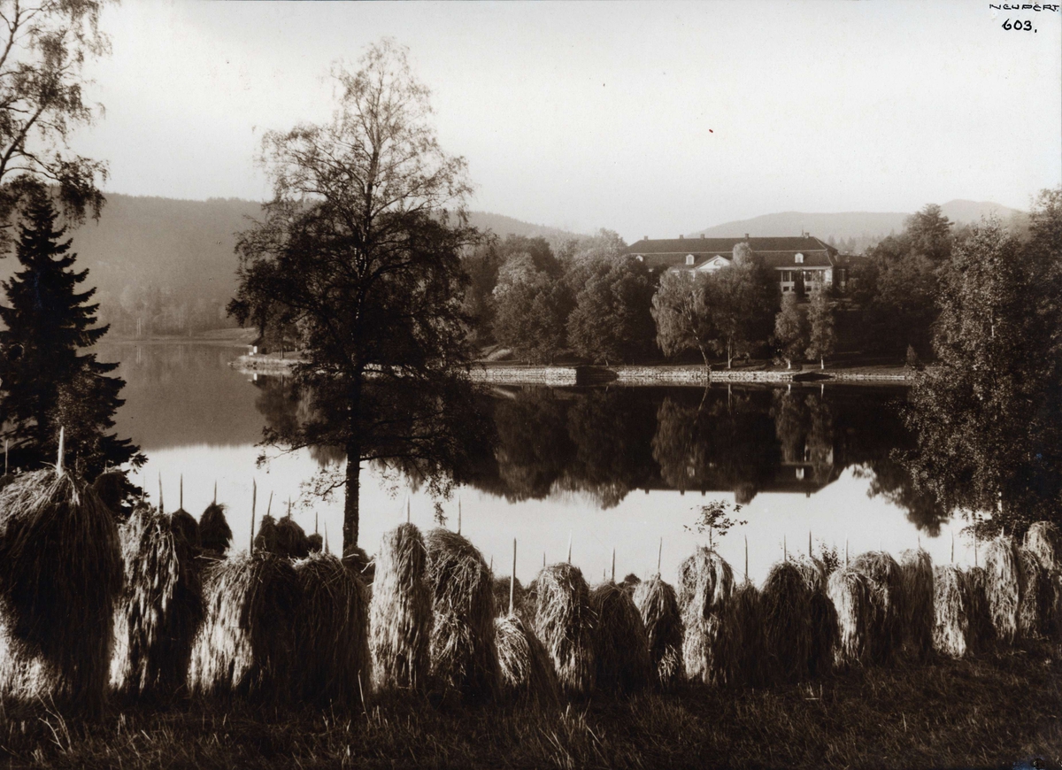 Hermann Christian Neupert, Landskap, Bogstad, Oslo. Oversiktsbilde med Bogstad gård i bakgrunnen. Oversiktsbilder. Bogstadvannet i mellomgrunnen, i forgrunnen jorde med rad av høystakker. Fot. H.C. Neupert (nr.603) ant. 1920.