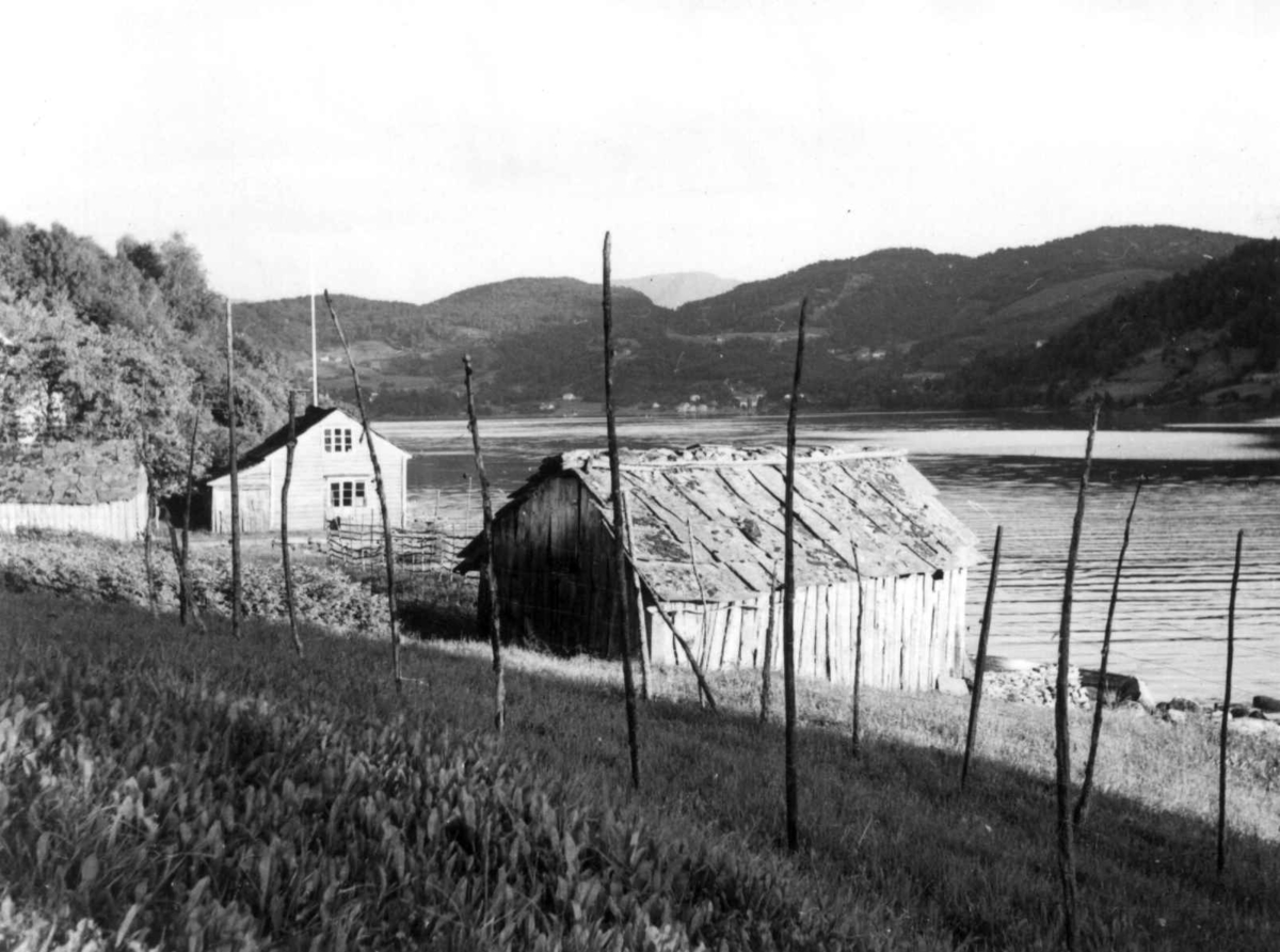 Virginia Raymond Davidson, Ant. Balsfjord