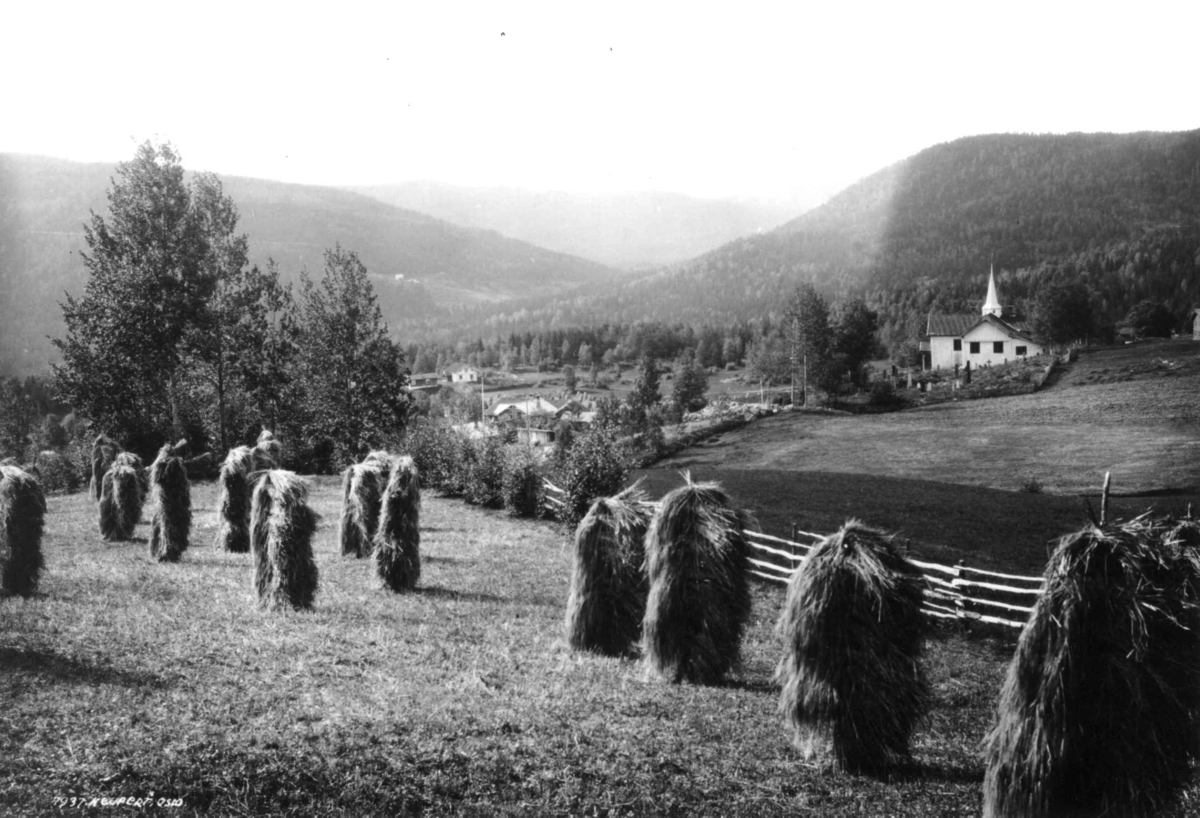 Hermann Christian Neupert, Lyngdal kirke, Flesberg, Buskerud. 1930. Oversiktsbilde. Landskap med skog og åser. Bebyggelse i bakgrunnen. Kornstaurer i forgrunnen.