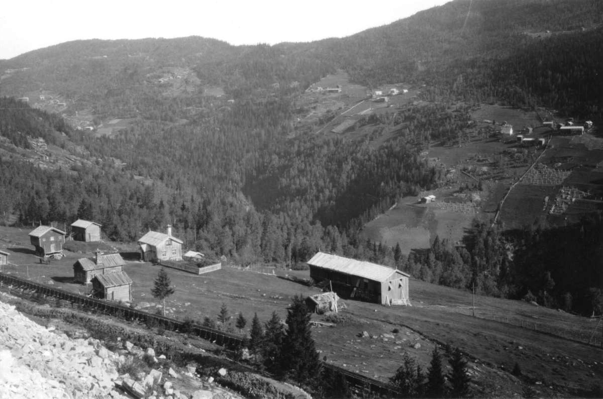 Hermann Christian Neupert, Øigardsgrænden, Nore - Nore og Uvdal. 1930. Oversiktsbilde med gårdsanlegg på begge sider av dalføret. Kornåkre. Landskap med skog og åser i bakgrunnen.