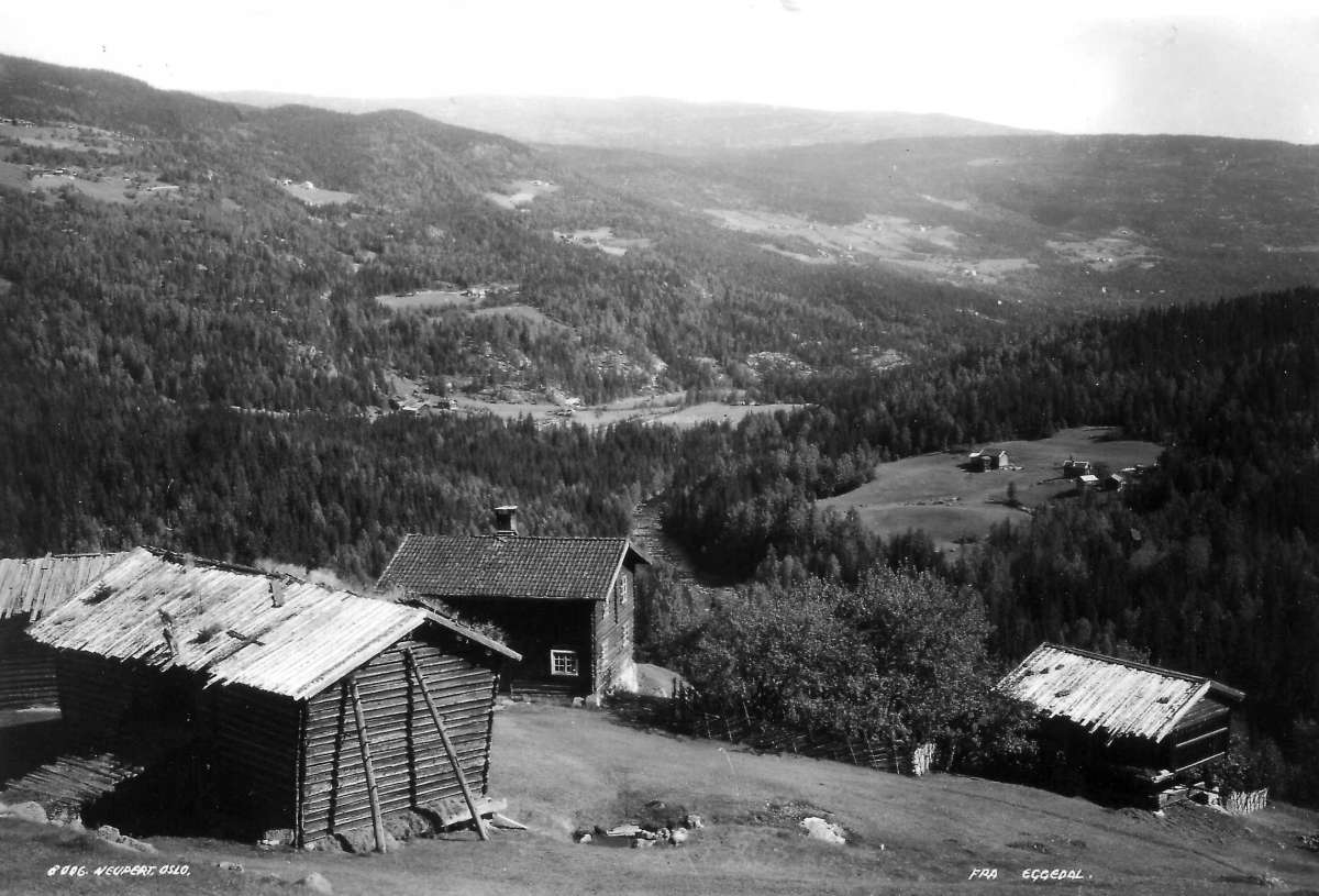 Hermann Christian Neupert, Eggedal, Buskerud. 1930. Oversiktsbilde over dalføret. Gårdsanlegg i dalsidene og dalbunnen. Gårdstun med hus i tømmer i forgrunnen. Skog og åser i bakgrunnen.