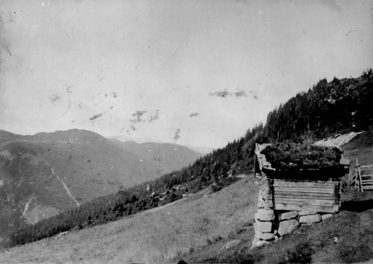 Ukjent, Fra en serie fotografier fra et album som har tilhørt folklorist og professor Moltke Moe (1859-1913), antatt fra 1880-årene med motiver fra Telemark.