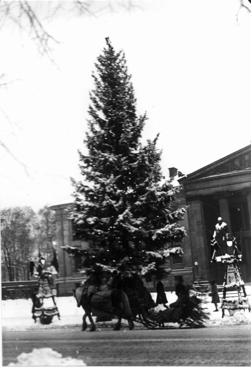 Hermann Christian Neupert, Oslo. Juletreet på Universitetsplassen. 1930. Hest og slede i forgrunnen. Fotgjengere. Statuer og Universitetet i bakgrunnen.