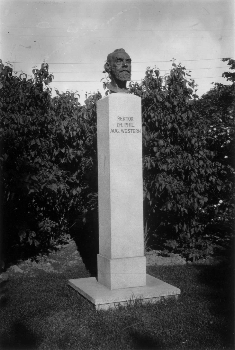Hermann Christian Neupert, Fredrikstad, Østfold. 1930. Byste av rektor August Western. Rektor i Fredrikstad 1901-1926.
