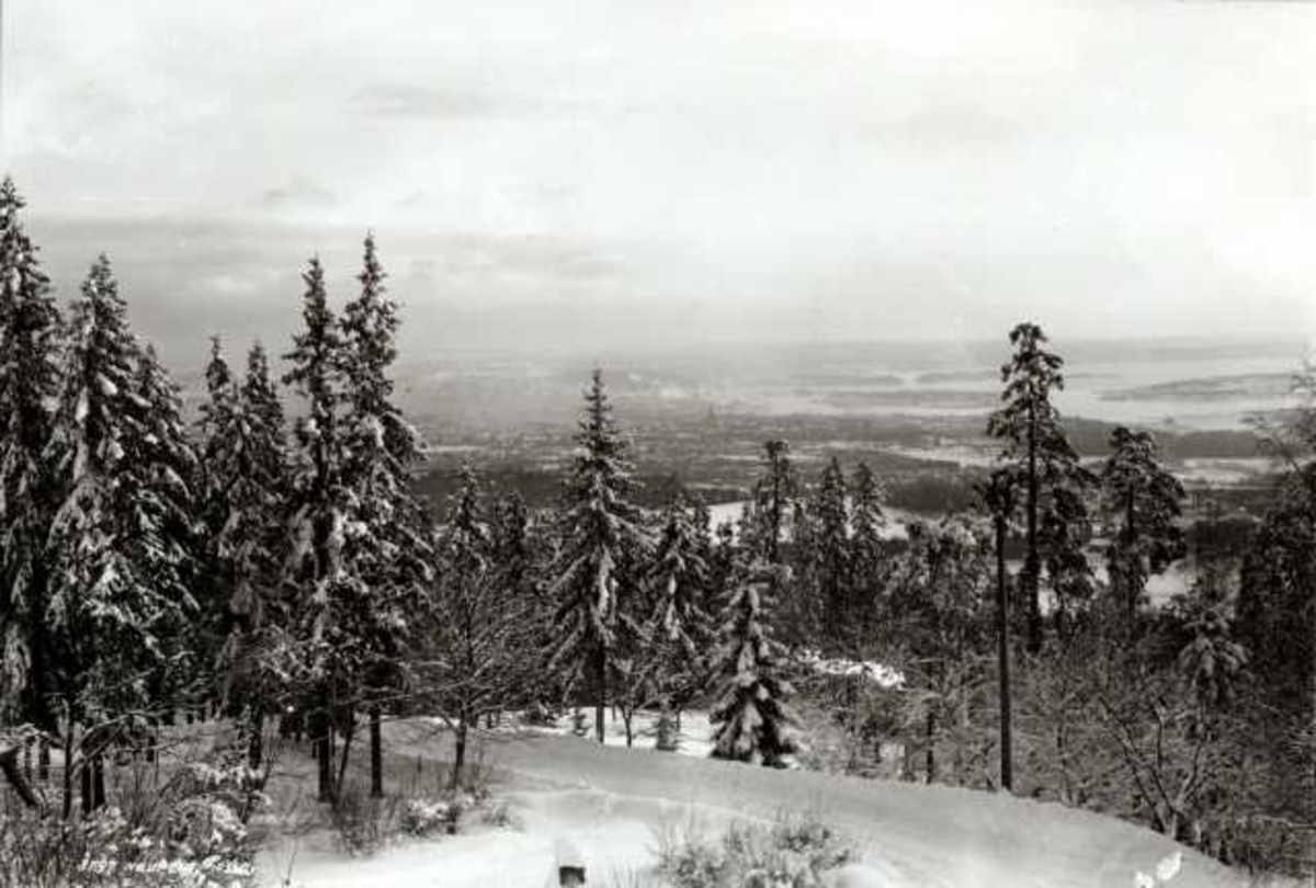 Hermann Christian Neupert, Nordmarka, Oslo. Utsikt over vinterlandskap.