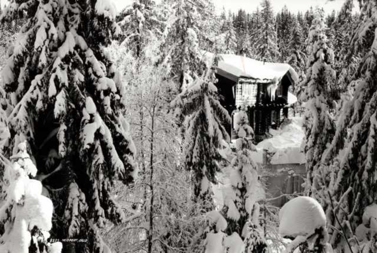 Hermann Christian Neupert, Nordmarka, Oslo. Vinterskog med hytte.