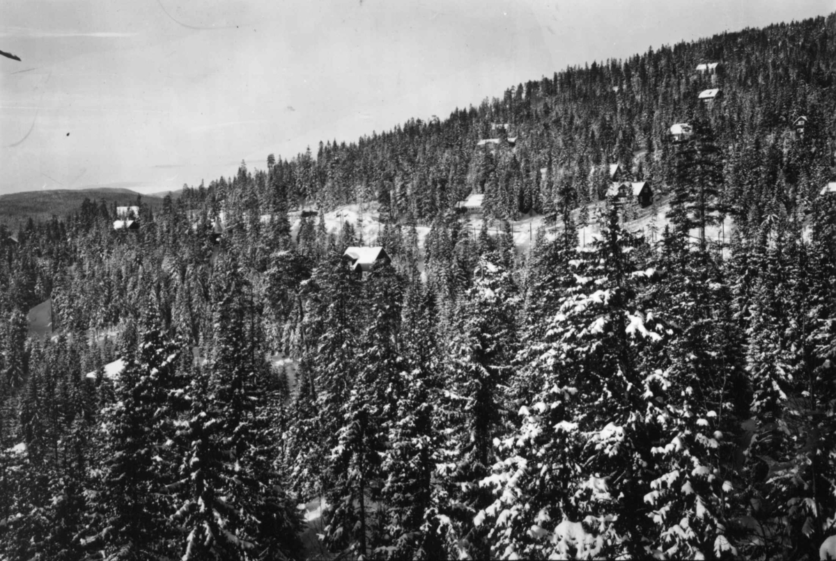 Hermann Christian Neupert, Nordmarka, Oslo. Vinterskog med hus eller hytter.