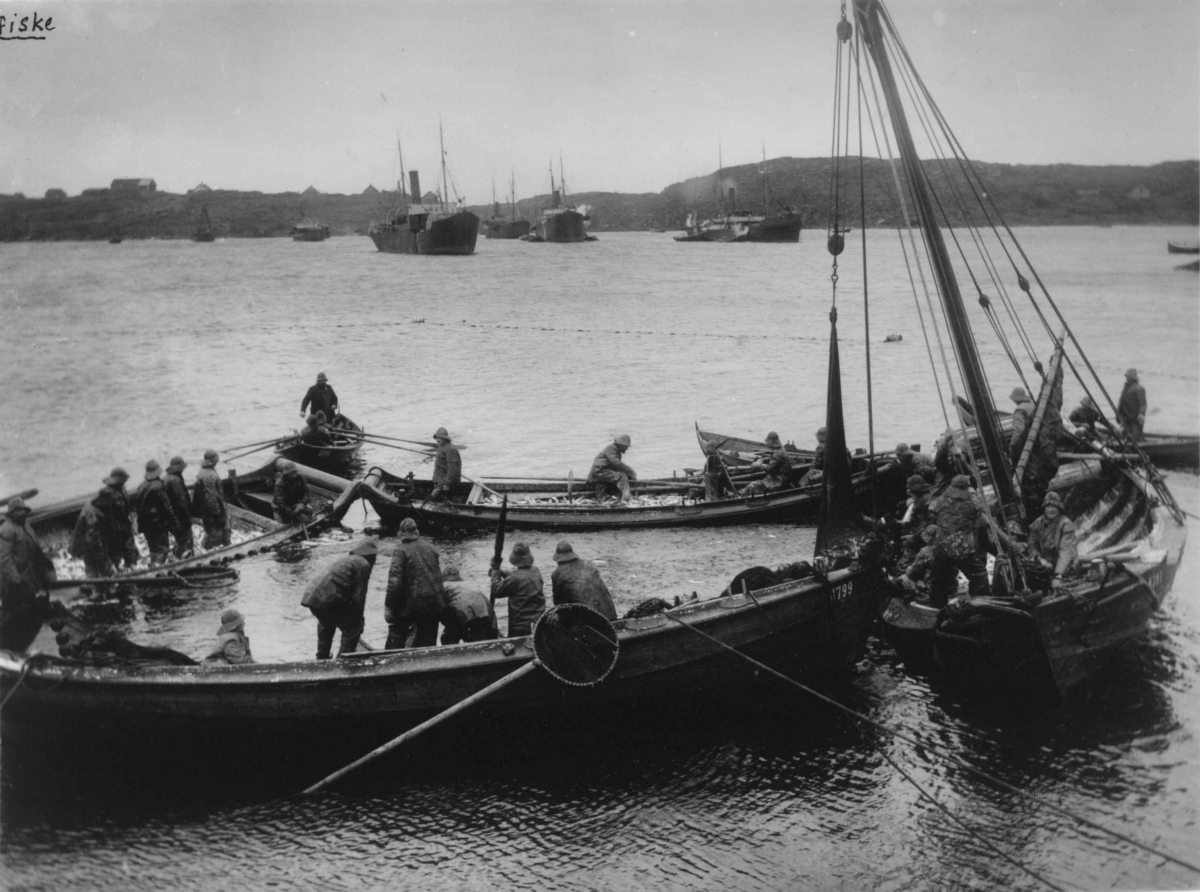 Anders Beer Wilse, Sildefiske i Vågavågen i Kopervik i Rogaland, antakelig.