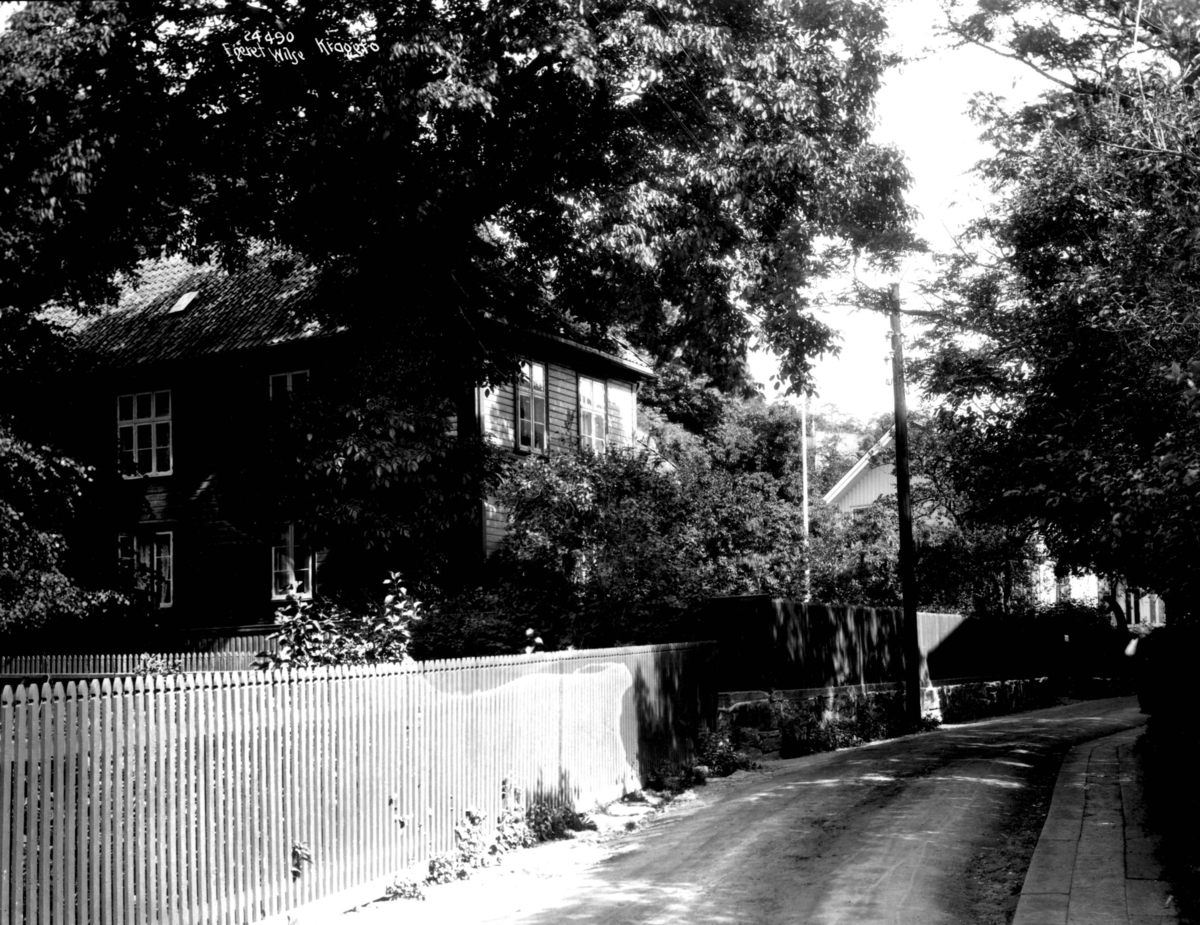 Anders Beer Wilse, Buchholmgården, Bamble/Drangedal/Hjartdal/Kragerø