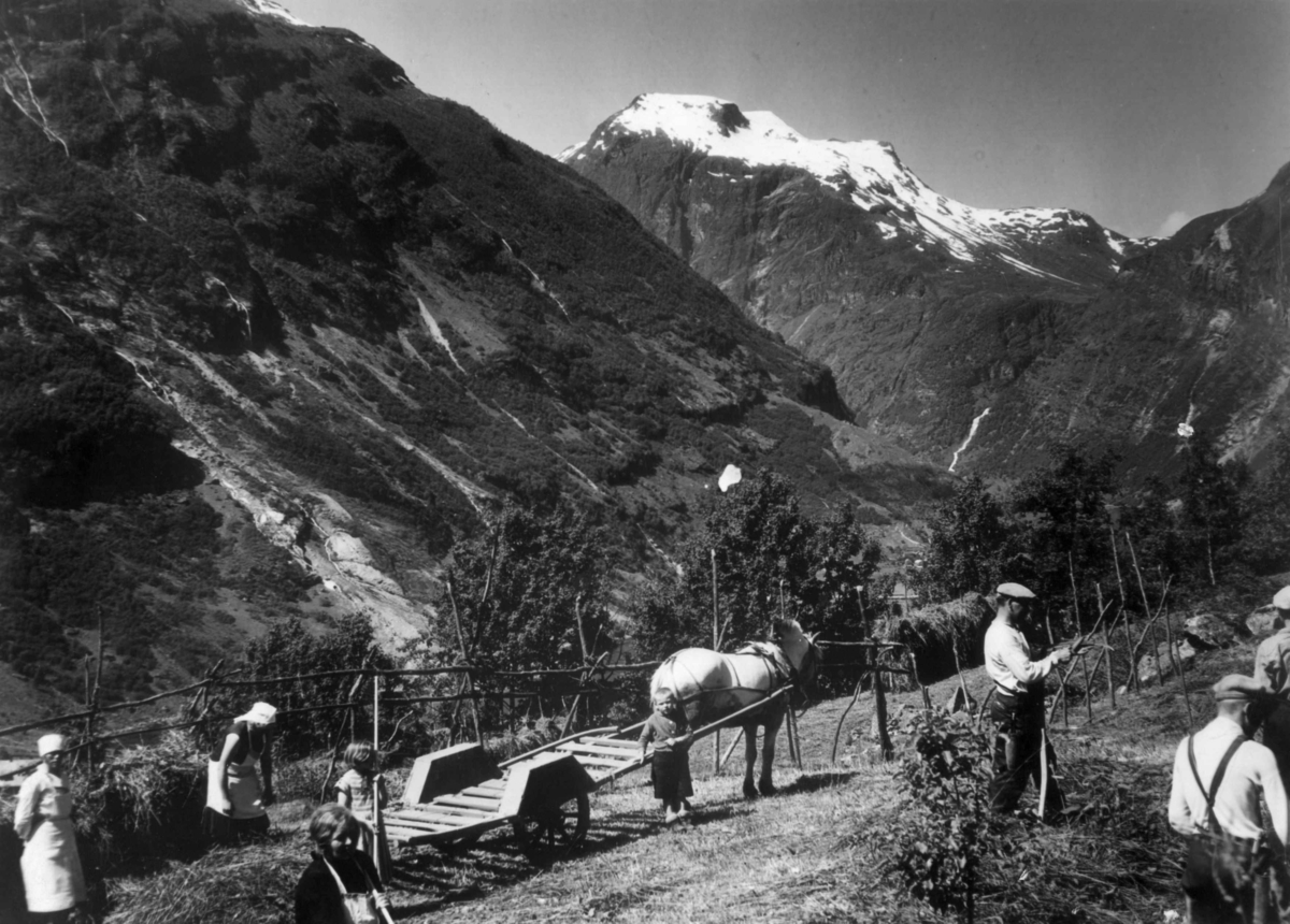 Anders Beer Wilse, Høying Stranda