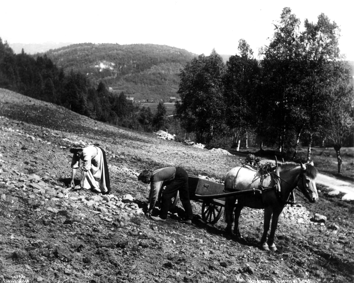 Anders Beer Wilse, Rydning av land