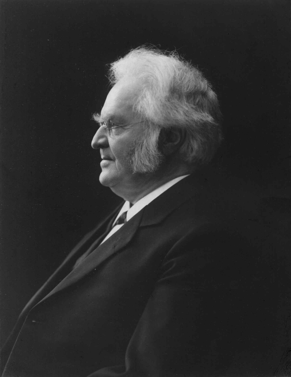 Anders Beer Wilse, Portrett, Bjørnstjerne Bjørnson (1832-1910).