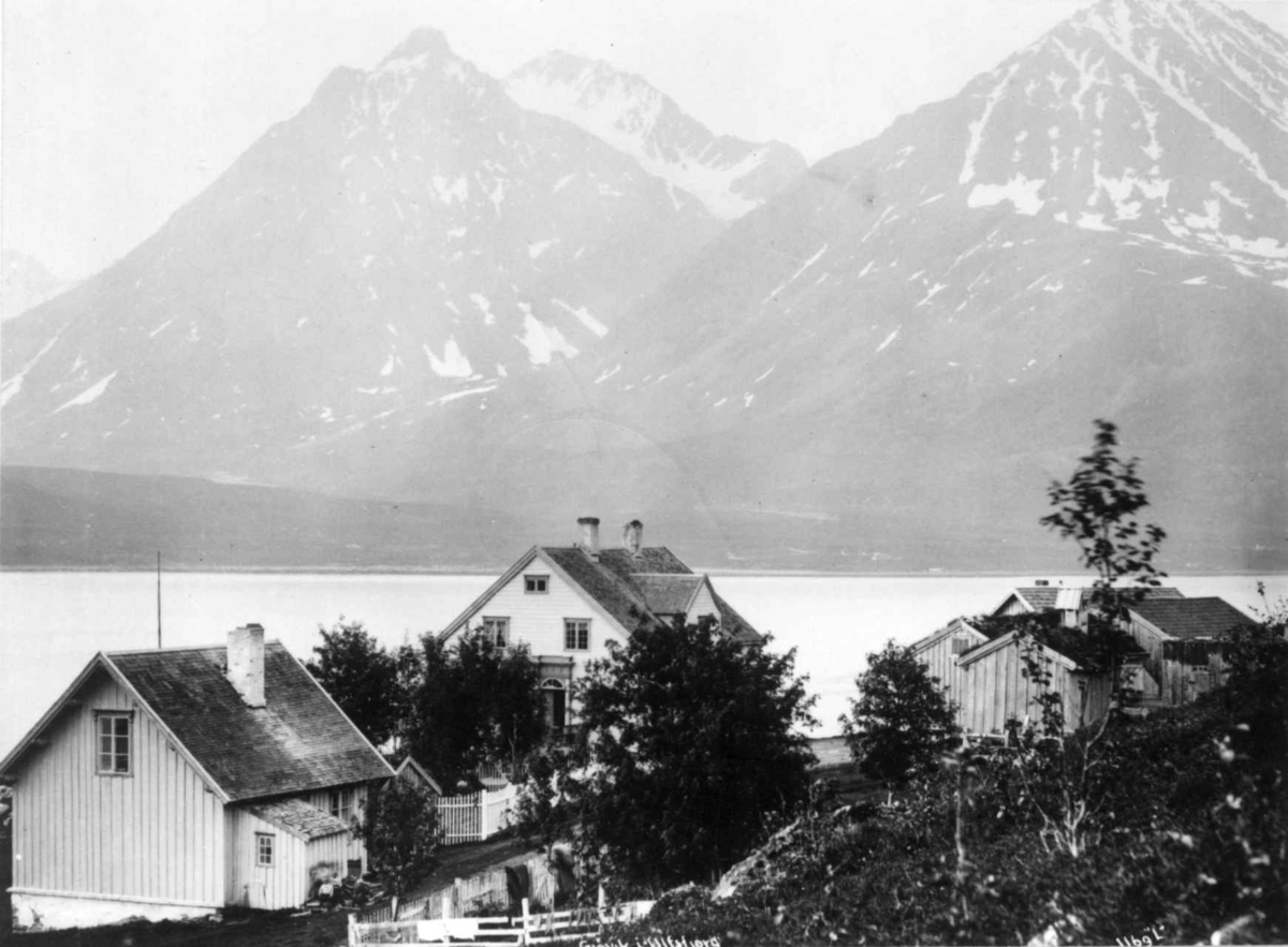 Axel Lindahl, Jovik