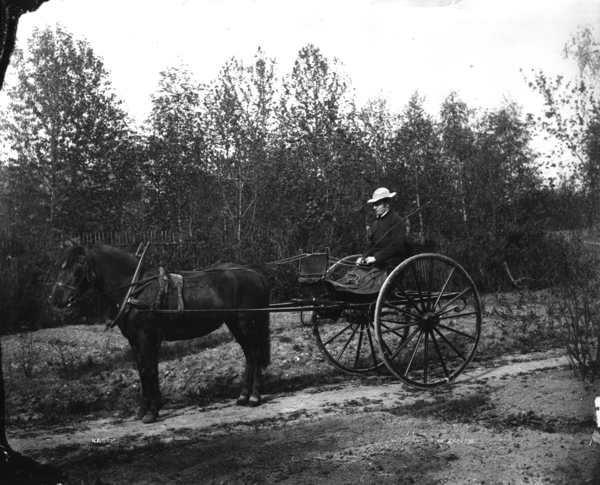 Marthinius Skøien, Mann med hest og karjol, ukjent sted.