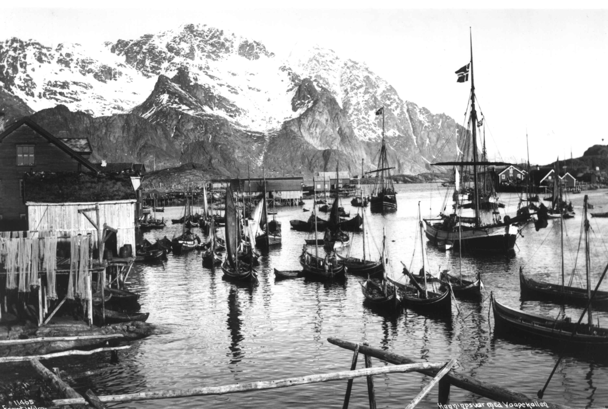 Anders Beer Wilse, Fiskebåter