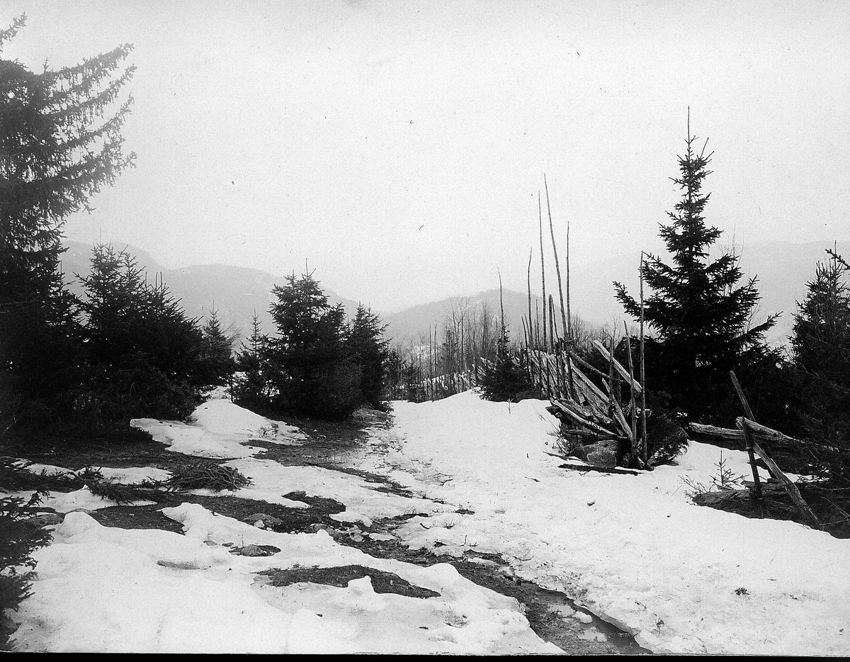 Robert Collett, Landskap, vinter, ukjent sted. Serie tatt av Robert Collett (1842-1913), amatørfotograf og professor i zoologi.