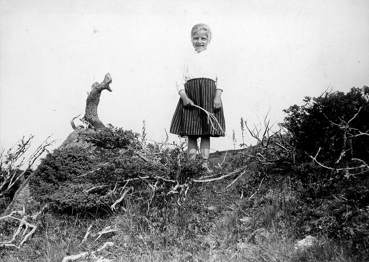 Robert Collett, Pike med kvist i landskap, ukjent sted. Serie tatt av Robert Collett (1842-1913), amatørfotograf og professor i zoologi.