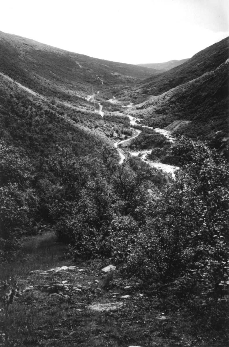 Hermann Christian Neupert, Vårstigen, Drivdalen 1935. Oversiktsbilde. Elv renner gjennom dalføret. Vei langsmed elva. Skog og fjell.